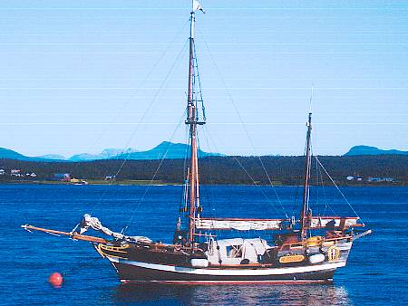Piraten
